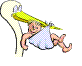 ciguena.gif (6394 bytes)