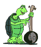 turtle2.gif (18242 bytes)