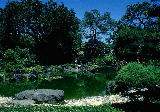 Jard1.jpg (7648 bytes)