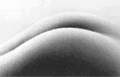 portada_fotos1.GIF (26889 bytes)
